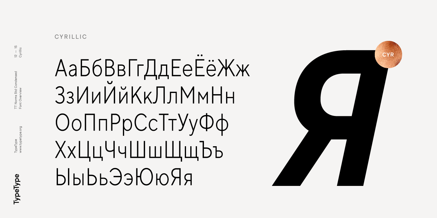 Пример шрифта TT Norms Std Condensed Italic